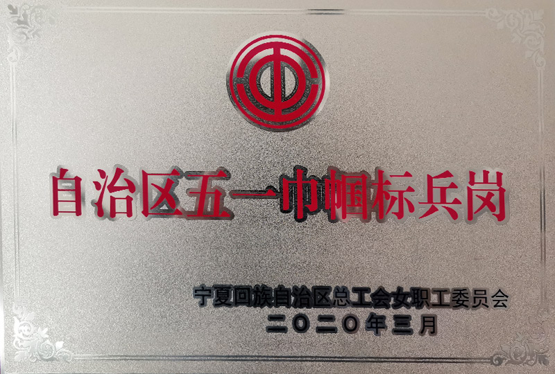 自治區(qū)五一巾幗標(biāo)兵崗