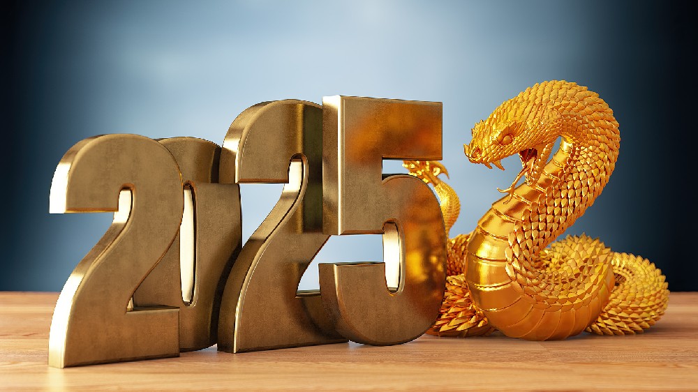 “巳巳”如意 生生不息 | 2025年新年賀詞
