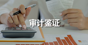 審計鑒證